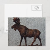 Carte Postale Belle vitesse d'orignaux de Park City (Devant / Derrière)