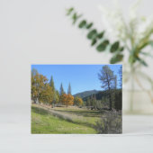 Carte Postale Belle vue dans la vallée.... (Debout devant)