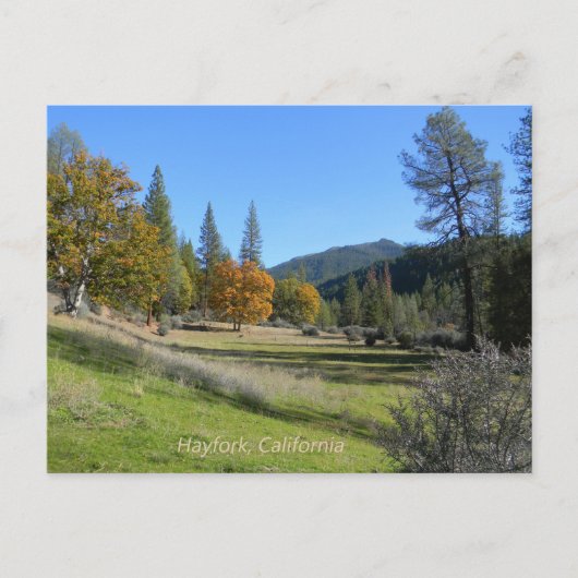 Carte Postale Belle vue dans la vallée.... (Devant)