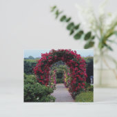Carte Postale Belles arches Roses Escalades (Debout devant)