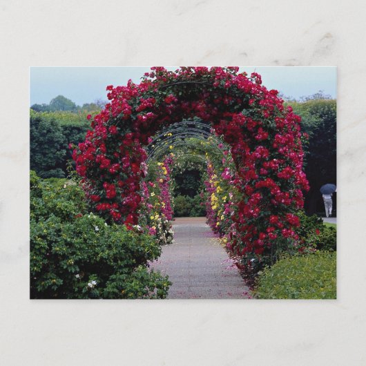 Carte Postale Belles arches Roses Escalades (Devant)