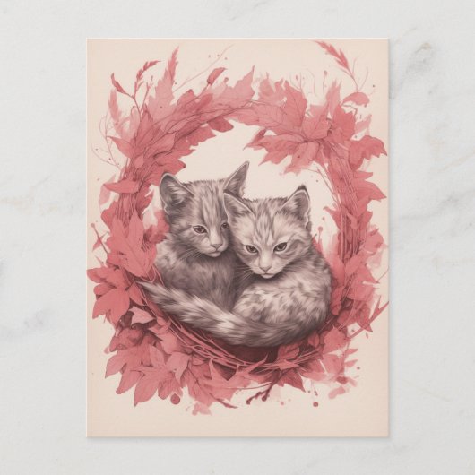 Carte Postale Belles chatons (Devant)