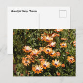Carte Postale Belles Fleurs De Faisée (Devant / Derrière)