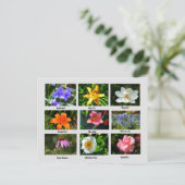 Carte Postale Belles fleurs de jardin (Debout devant)