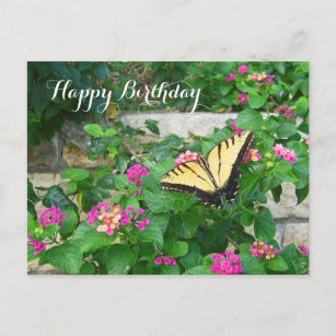 Cartes Postales Joyeux Anniversaire Papillon Originales Zazzle Be