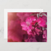 Carte Postale Belles fleurs de printemps (Devant / Derrière)