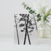 Carte Postale Belles fleurs de tiges (Debout devant)