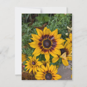 Carte Postale Belles fleurs jaunes
