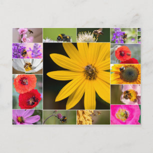 Carte Postale Belles fleurs pour les sensations de printemps et