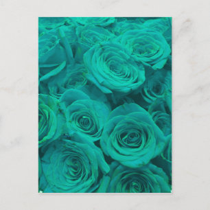 Carte Postale Belles fleurs turquoises roses turquoises