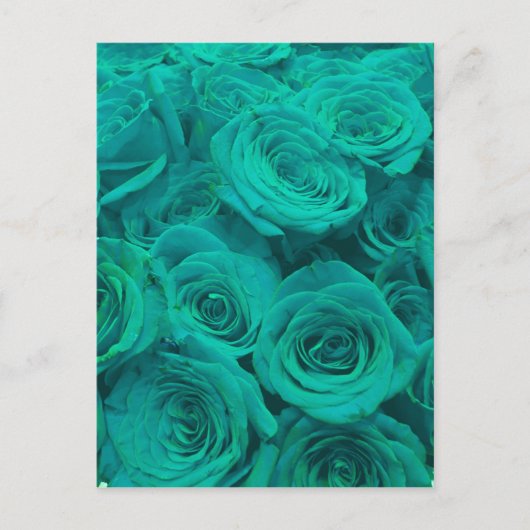 Carte Postale Belles fleurs turquoises roses turquoises (Devant)