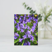 Carte Postale Belles fleurs violettes (Debout devant)