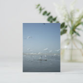 Carte Postale Belles grues volant au-dessus de l'eau Ballet de l (Debout devant)