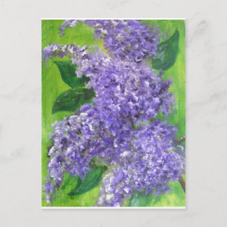 Carte Postale Belles Lilacs