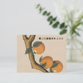 Carte Postale Belles oranges fraîches (Debout devant)