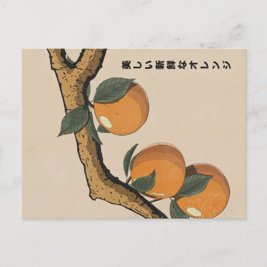 Carte Postale Belles oranges fraîches (Devant)