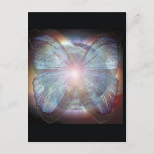 Carte Postale Belles papillons (Devant)