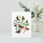 Carte Postale Belles papillons (Debout devant)