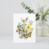 Carte Postale Belles papillons (Debout devant)