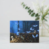 Carte Postale Belles papillons bleus en forêt (Debout devant)