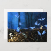 Carte Postale Belles papillons bleus en forêt (Devant / Derrière)