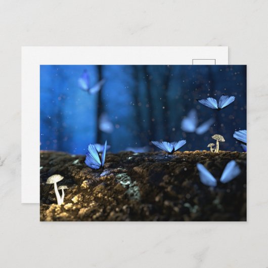 Carte Postale Belles papillons bleus en forêt (Devant / Derrière)