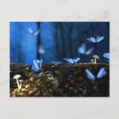 Carte Postale Belles papillons bleus en forêt (Devant)