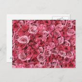 Carte Postale Belles roses roses (Devant / Derrière)