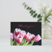 Carte Postale Belles tulipes roses (Debout devant)