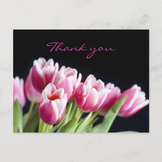 Carte Postale Belles tulipes roses (Devant)