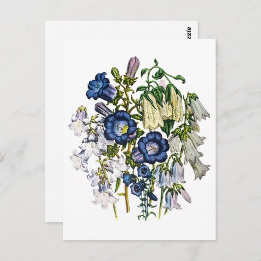 Carte Postale Bellfleurs (Devant / Derrière)