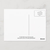 Carte Postale Bellingham Southside (Dos)