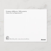 Carte Postale Bellis perennis (Dos)