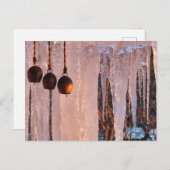 Carte Postale Bells Ice Icicles à la lumière du soleil (Devant / Derrière)