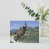 Carte Postale Belly Flop Elephant (Debout devant)