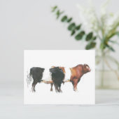 Carte Postale Belties 2006 (Debout devant)