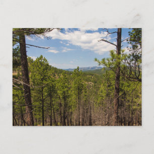 Carte Postale Belvédère d'Heddy Draw, parc d'État de Custer, SD