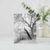 Carte Postale Bench Peacock (Debout devant)