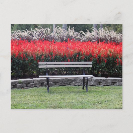 Carte Postale Bench Red Floral Photo (Devant)