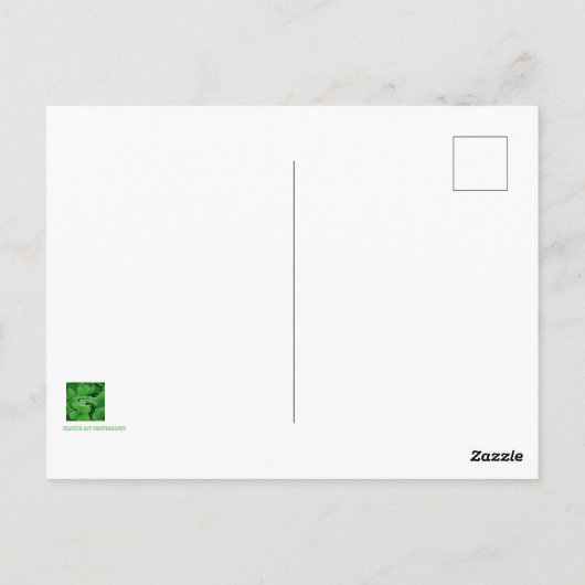 Carte Postale Bénédiction irlandaise (Dos)