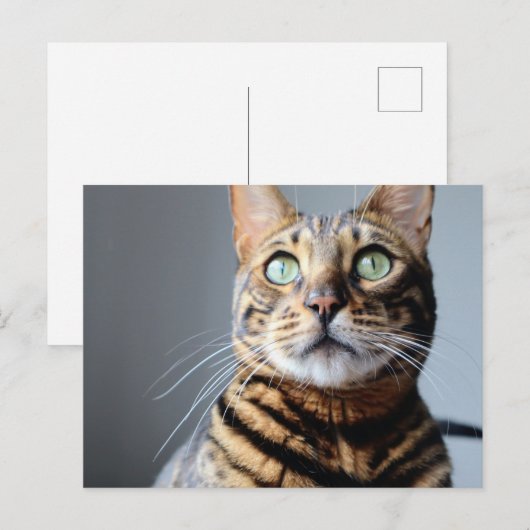 Carte postale Bengale (Devant / Derrière)