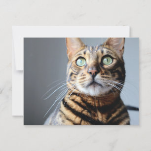 Carte postale Bengale