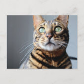 Carte postale Bengale (Devant)