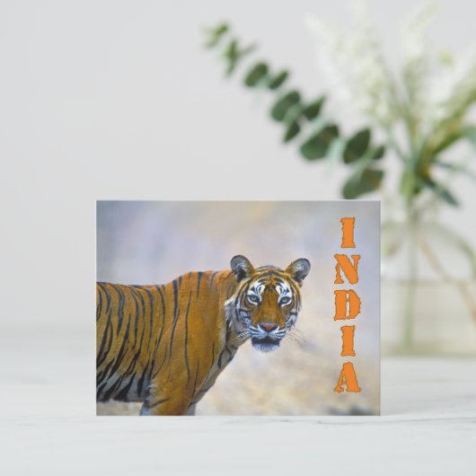 Carte Postale Bengale (Debout devant)