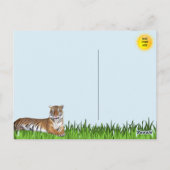 Carte postale Bengale Tiger (Dos)