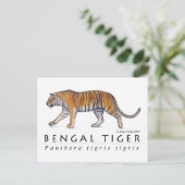 Carte postale Bengale Tiger (Debout devant)
