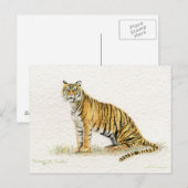 Carte postale Bengale Tiger (Devant / Derrière)