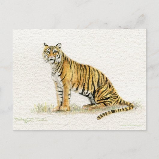 Carte postale Bengale Tiger (Devant)