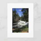 Carte Postale Benham Falls, Sunriver (Devant)