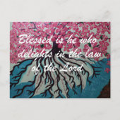 Carte Postale Béni (Devant)